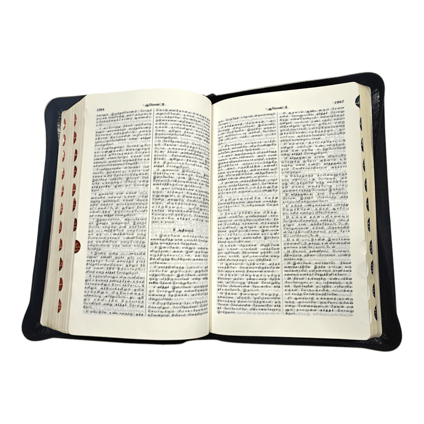 Tamil Bible OV 55, Korean Bible Index, Medium Size (Leather Binding, Tamil, Bible Society) | Tamil Bible, Holy Bible | Tamil Holy Bible
