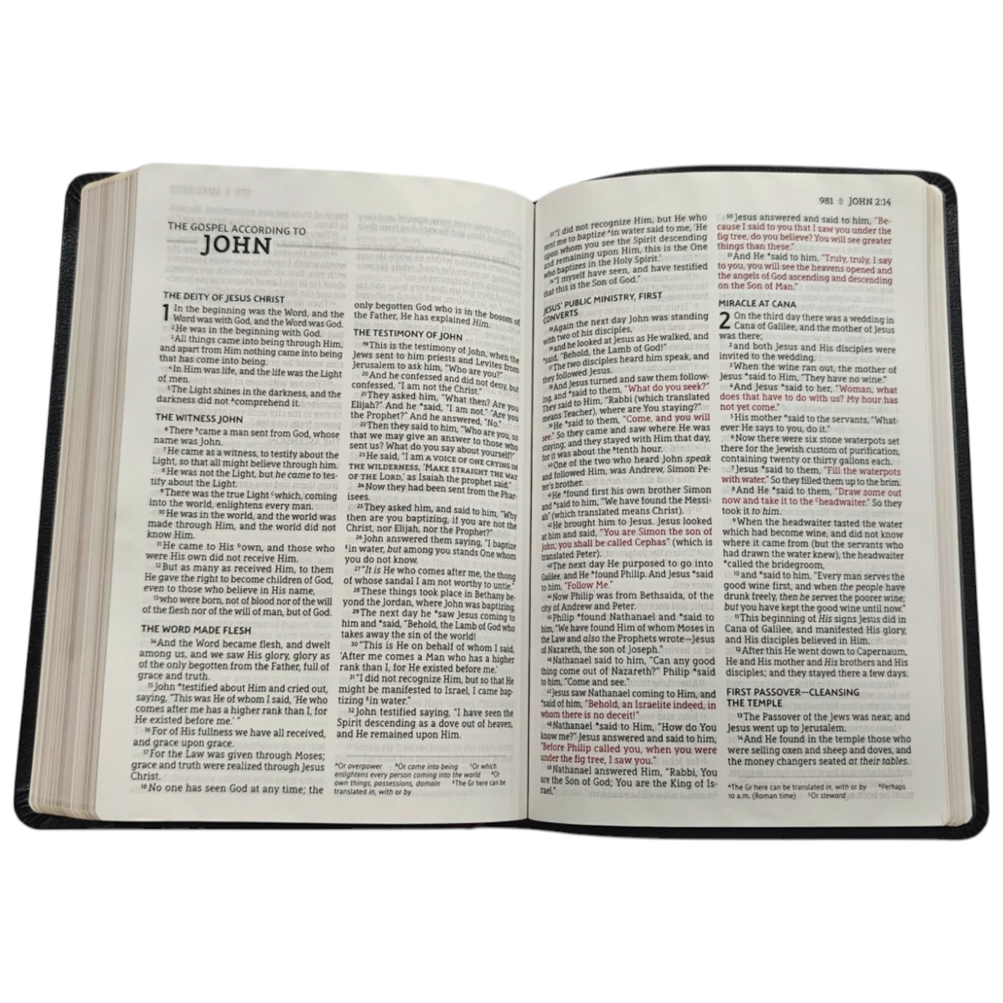 NASB Large-Print Thinline Bible, Red Letter Edition - Bonded Leather, Black (New American Standard Bible) | English Bible, Holy Bible