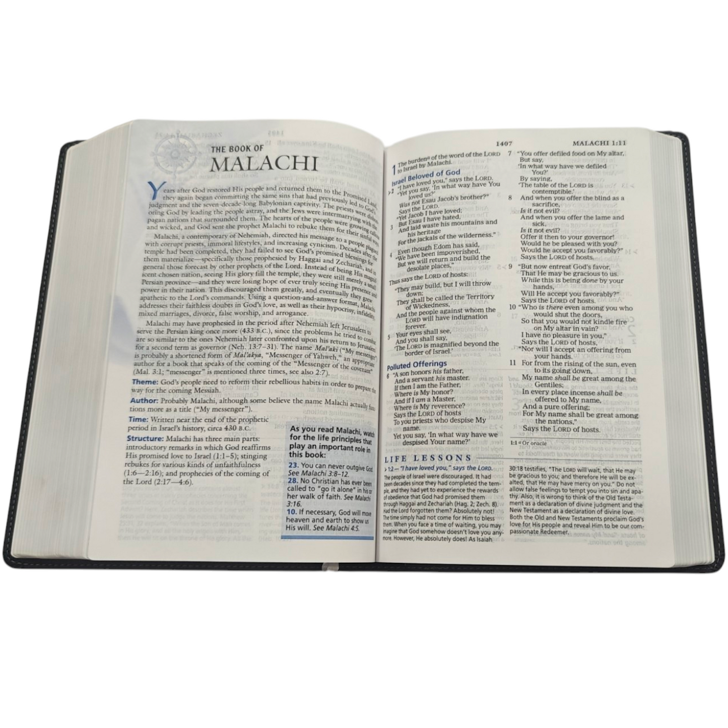 NKJV The Charles F. Stanley Life Principles Bible - Hardcover (New King James Version) | Study Bible, Reference Bible | Holy Bible