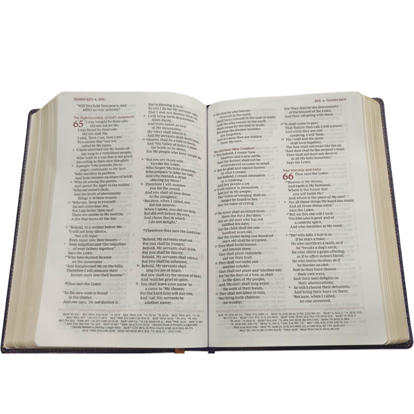 The Breathe Life Holy Bible: Faith in Action (NKJV, Hardcover, Red Letter, Comfort Print) | English Bible, Holy Bible