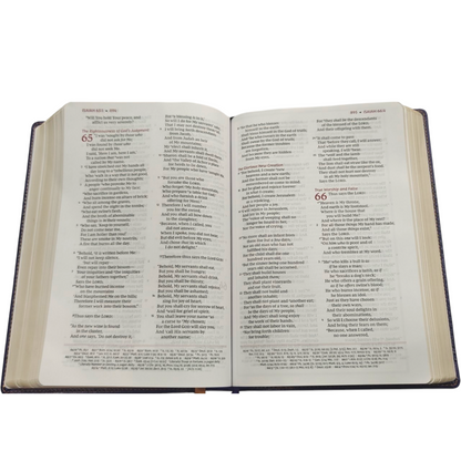 The Breathe Life Holy Bible: Faith in Action (NKJV, Hardcover, Red Letter, Comfort Print) | English Bible, Holy Bible