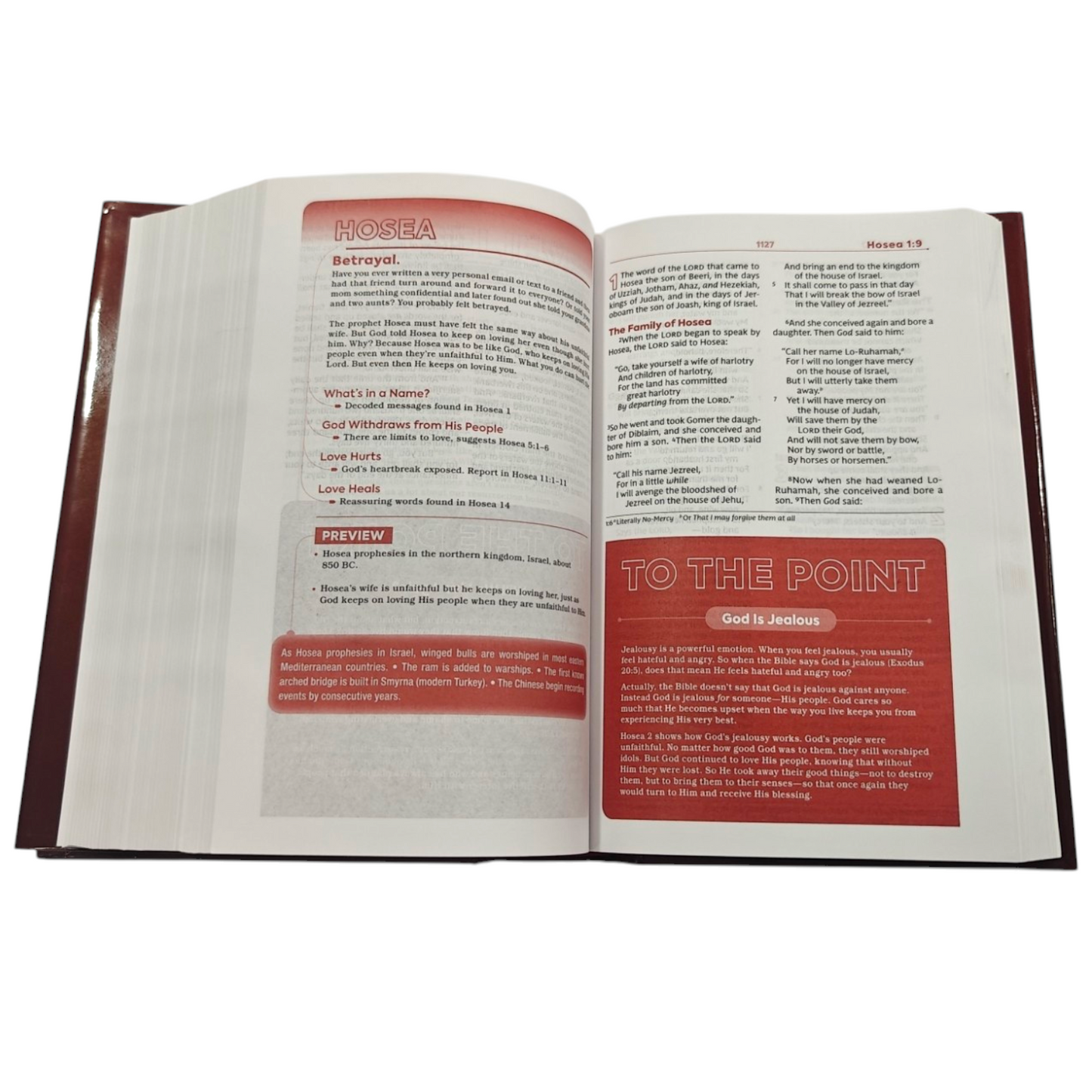 NKJV, Teen Study Bible, Hardcover, Comfort Print | Study Bible, Reference Bible | Holy Bible