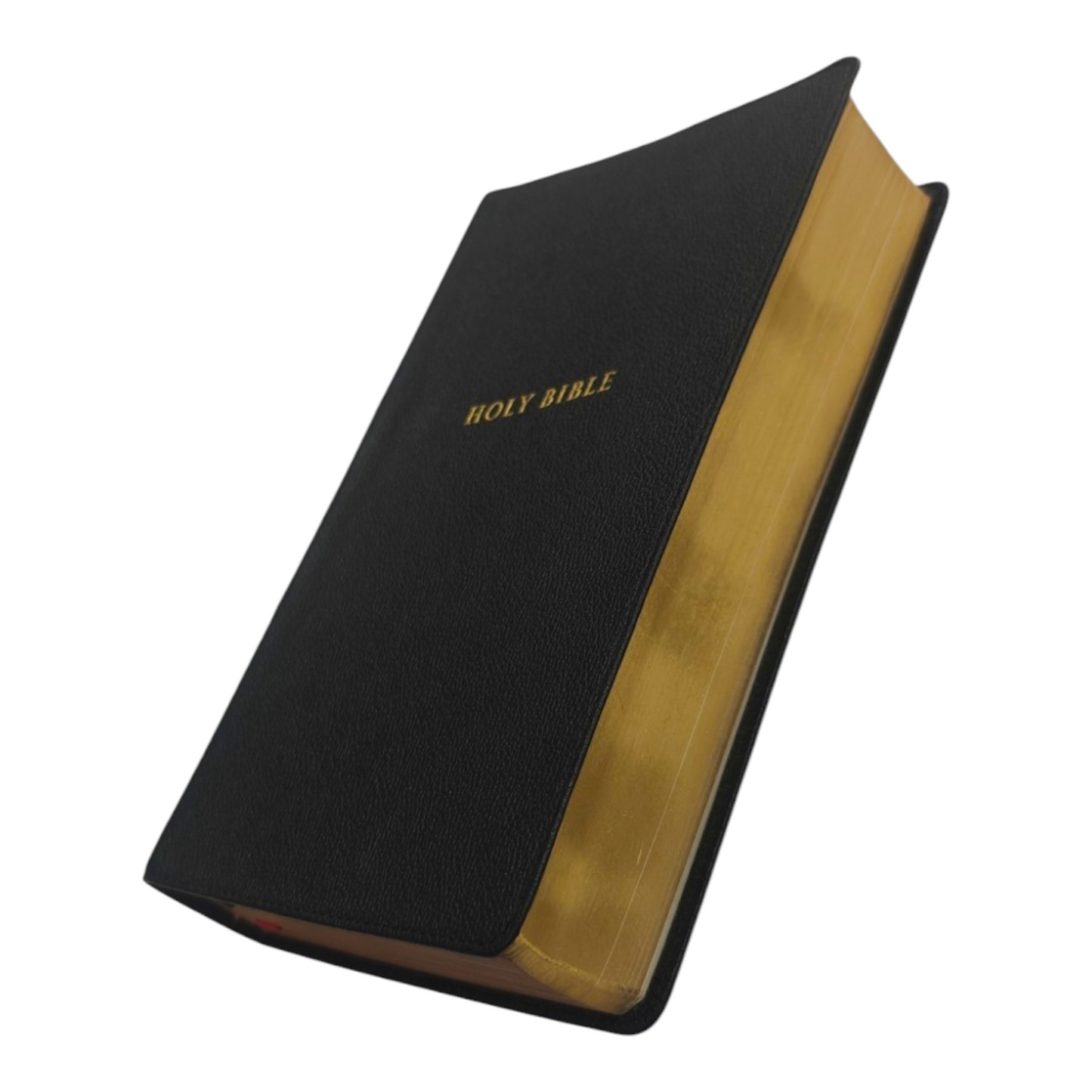 NKJV, Personal Size Reference Bible (Sovereign Collection, Thumb-Indexed, Brown) | Study Bible, Reference Bible | Holy Bible