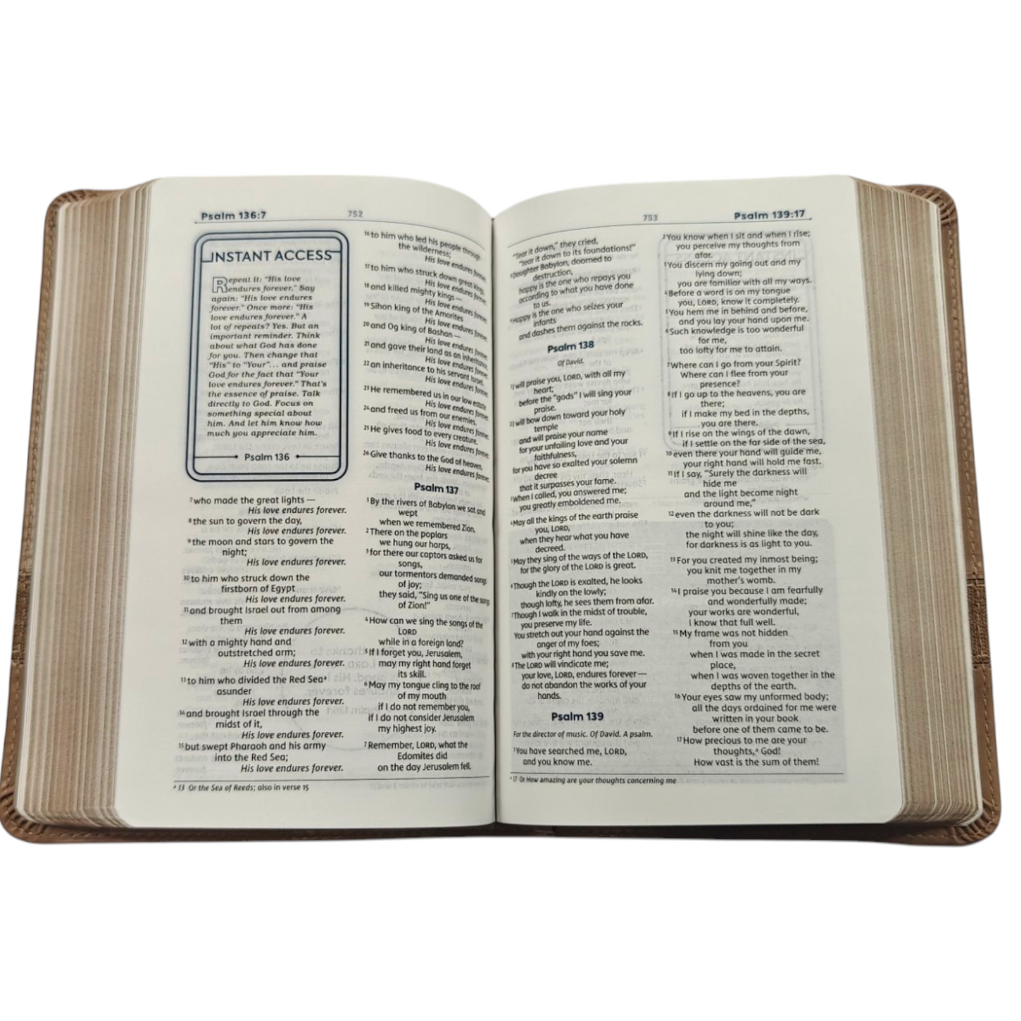 NIV Teen Study Bible, Compact Size - Brown Leathersoft (New International Version) | Study Bible, Reference Bible | Holy Bible