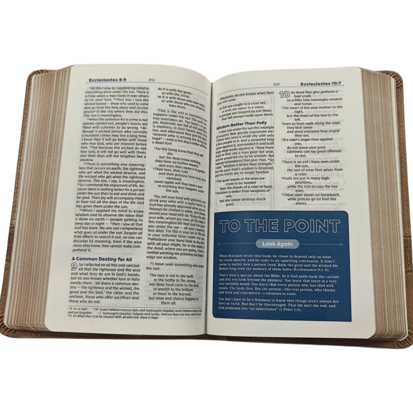 NIV Teen Study Bible, Compact Size - Brown Leathersoft (New International Version) | Study Bible, Reference Bible | Holy Bible