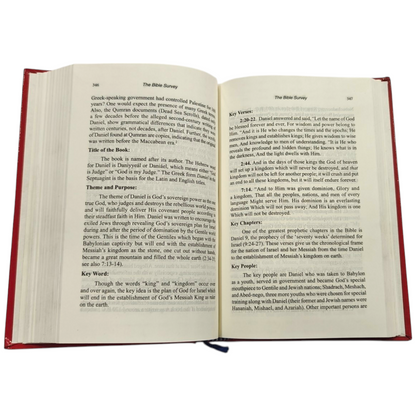 The Bible Survey | Bible Commentary, Bible Reference | English Christian Book