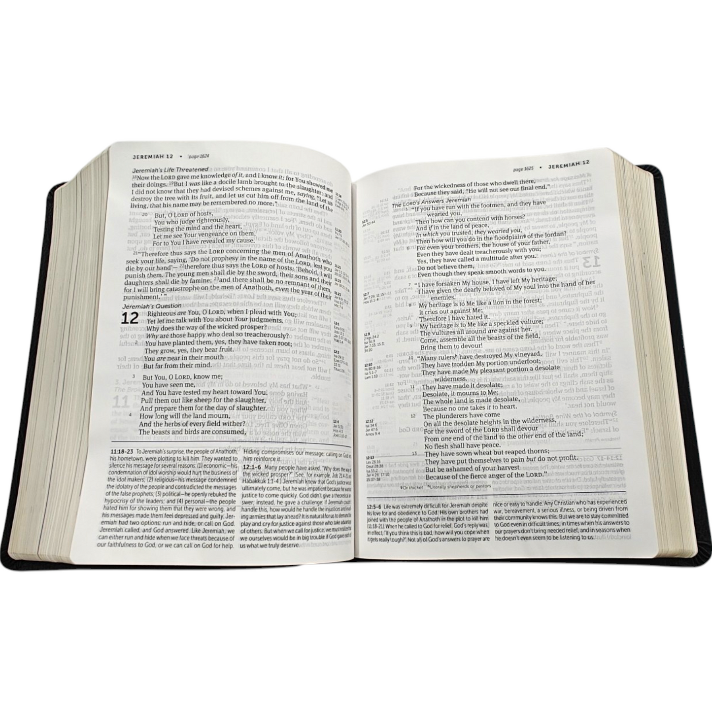 NKJV Life Application Study Bible, Third Edition, Large Print | Study Bible, Reference Bible | Holy Bible