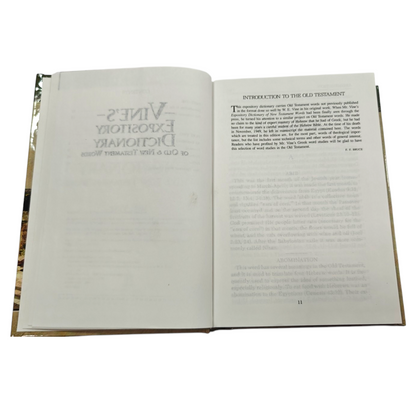 Vine's Expository Dictionary of the Old and New Testament Words by W. E. Vine | Bible Commentary, Bible Reference | English Christian Book
