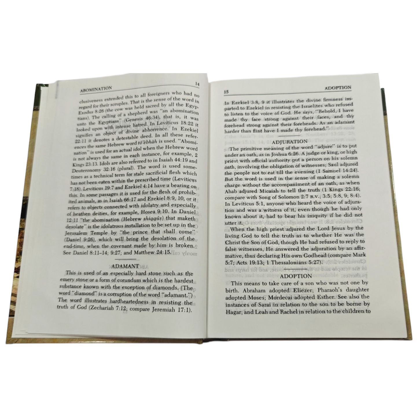 Vine's Expository Dictionary of the Old and New Testament Words by W. E. Vine | Bible Commentary, Bible Reference | English Christian Book