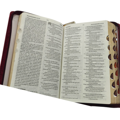 NIV Red Letter Index Bible | NIV Red Letter Index Bible – Brown Cover | Holy Bible