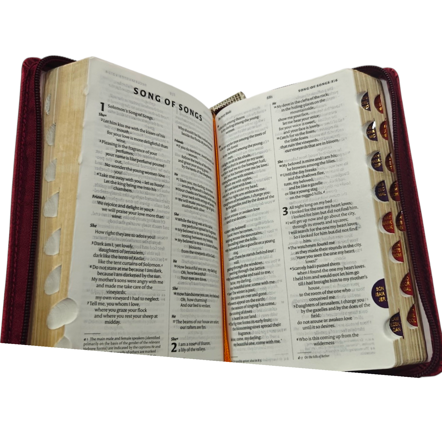 NIV Red Letter Index Bible | NIV Red Letter Index Bible – Brown Cover | Holy Bible
