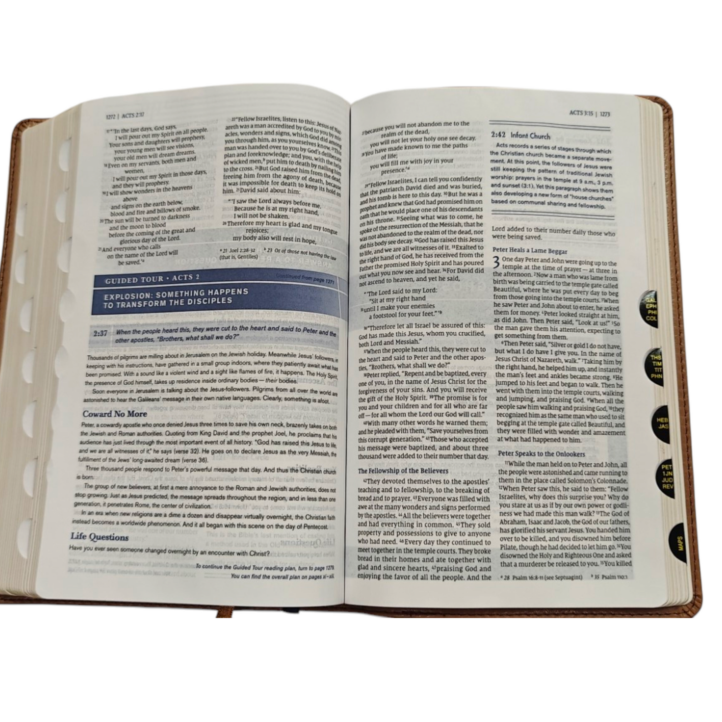 NIV, Student Bible, Personal Size, Leathersoft, Navy, Thumb Indexed, Comfort Print | Teen Bible, Youth Bible | Holy Bible