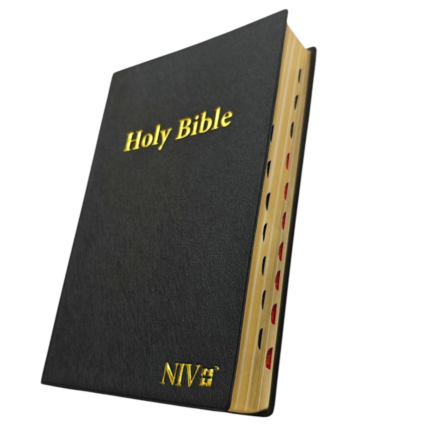 NIV Giant Print Bible, Thumb Index, Gold Gilt Edges, Black | English Bible, Holy Bible