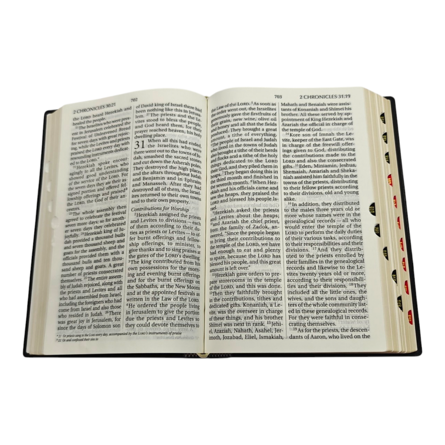 NIV Giant Print Bible, Thumb Index, Gold Gilt Edges, Black | English Bible, Holy Bible