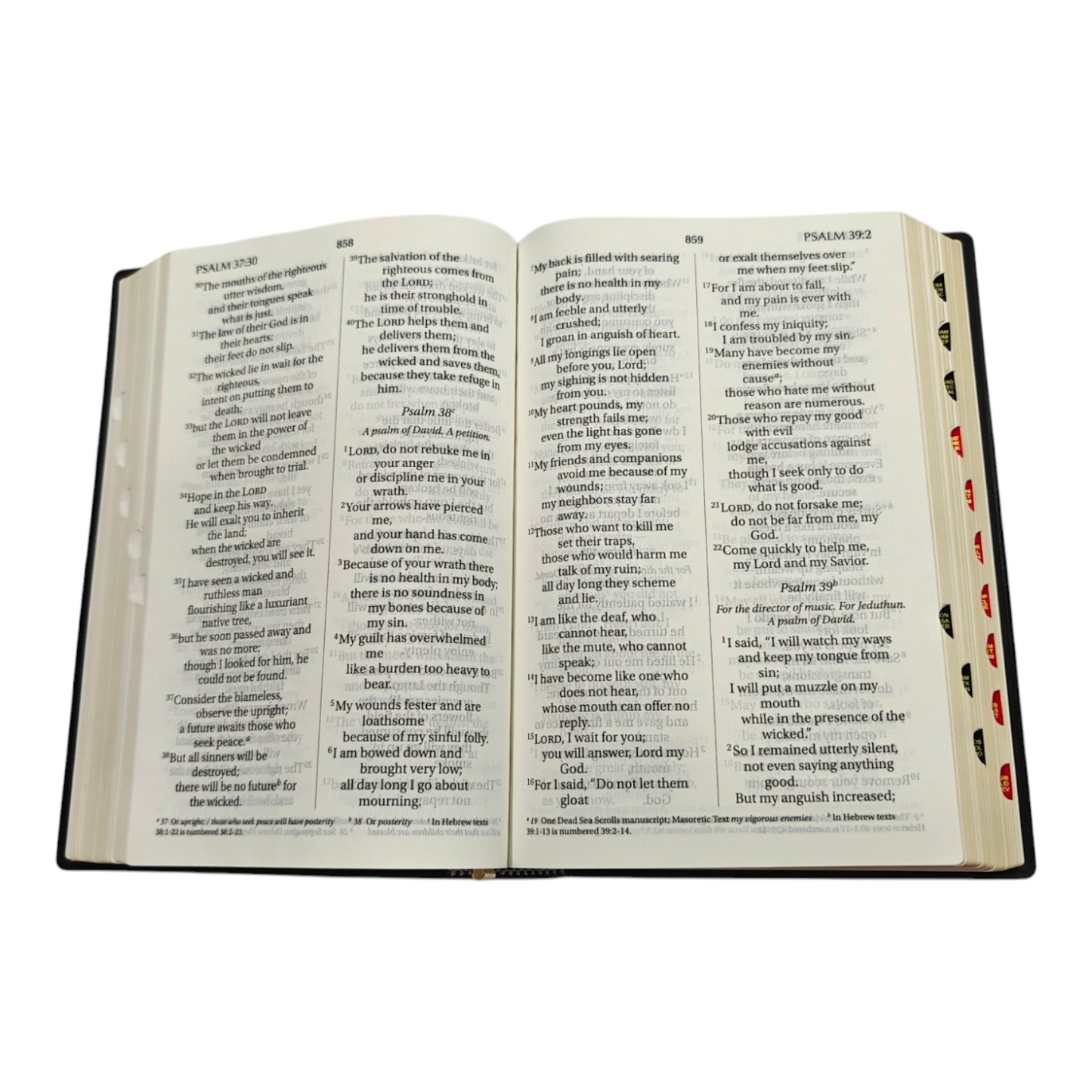 NIV Giant Print Bible, Thumb Index, Gold Gilt Edges, Black | English Bible, Holy Bible
