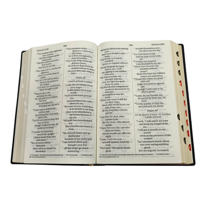 NIV Giant Print Bible, Thumb Index, Gold Gilt Edges, Black | English Bible, Holy Bible