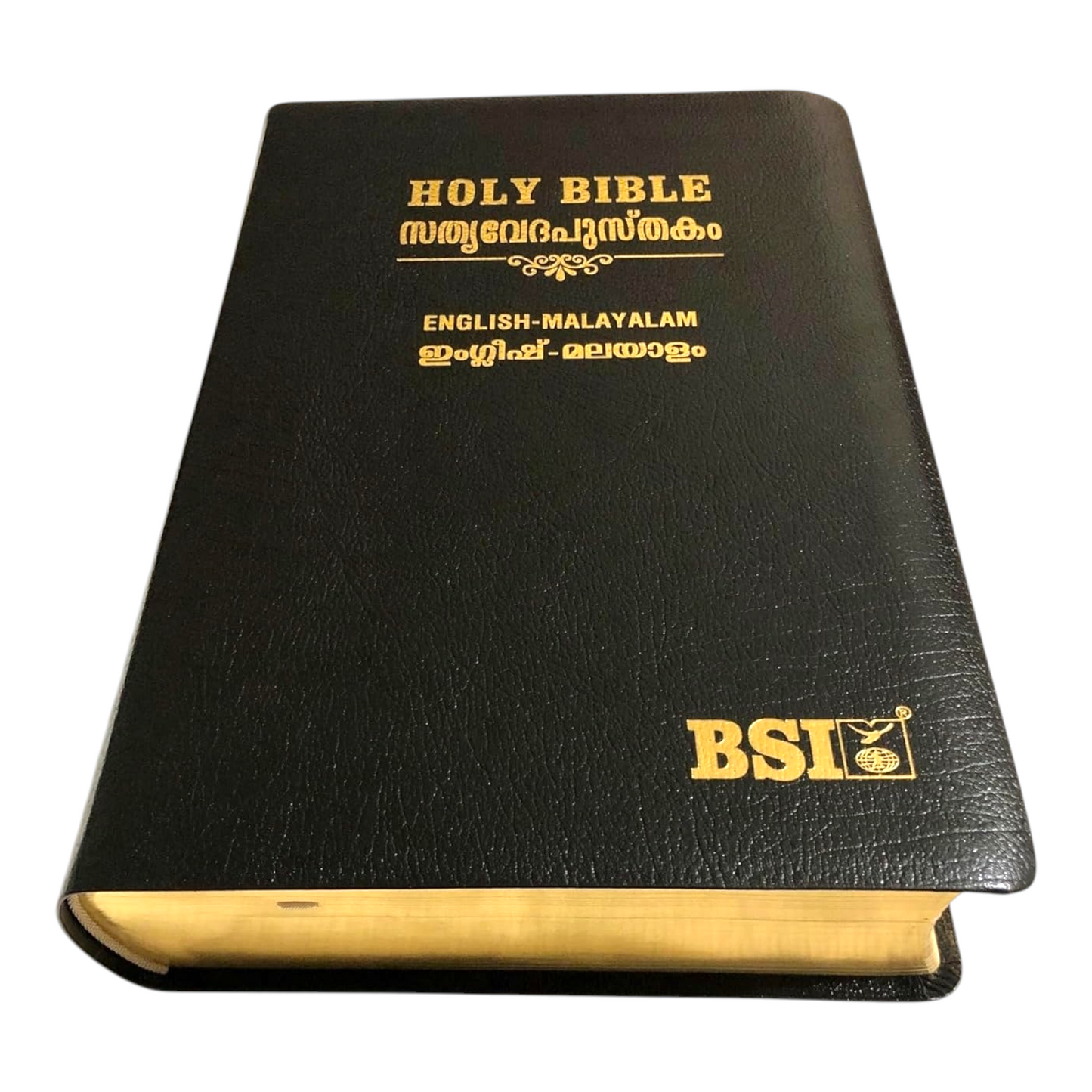 English - Malayalam Bilingual Bible (English Standard Version - Malayalam Original Version) | Bilingual Bible, Parallel Bible | Malayalam Holy Bible