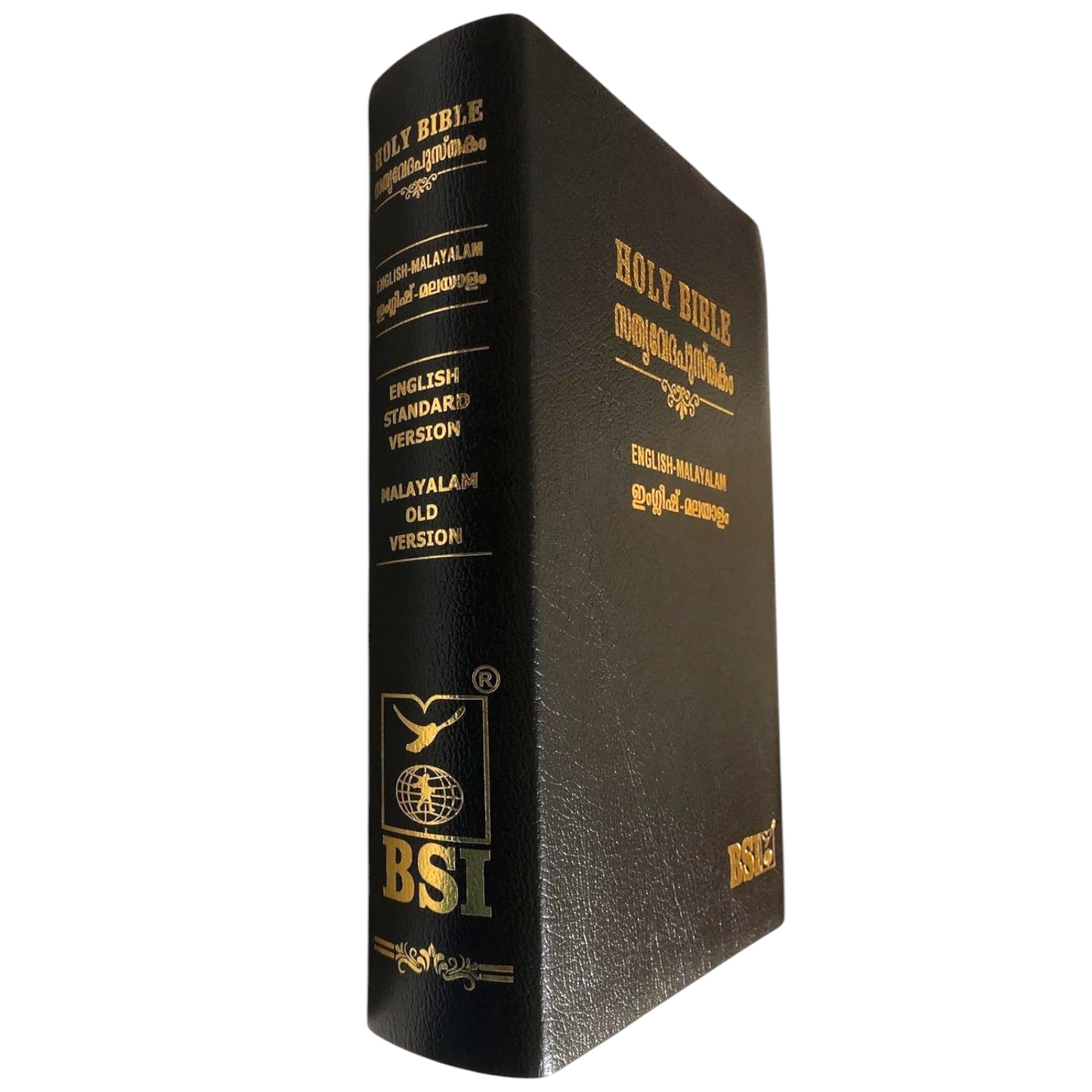 English - Malayalam Bilingual Bible (English Standard Version - Malayalam Original Version) | Bilingual Bible, Parallel Bible | Malayalam Holy Bible