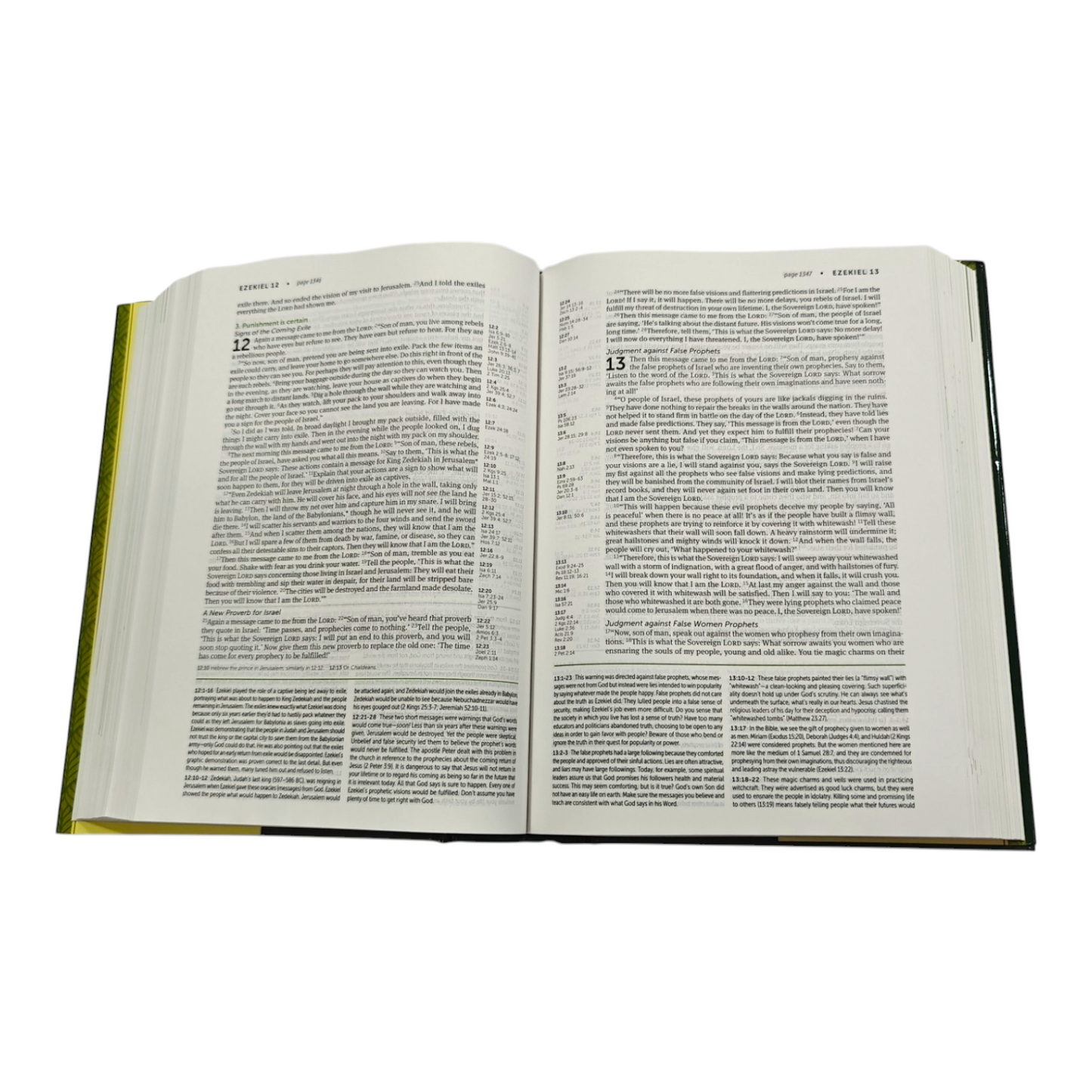 NLT Life Application Study Bible | Study Bible, Reference Bible | Holy Bible