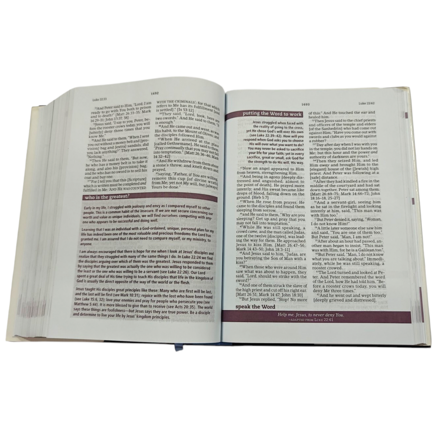 The Everyday Life Bible | Christian Living, Spiritual Growth | English Christian Book