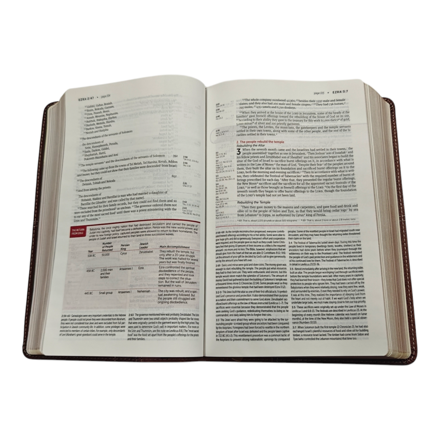 NIV Life Application Study Bible: Brown Leathersoft | Study Bible, Reference Bible | Holy Bible