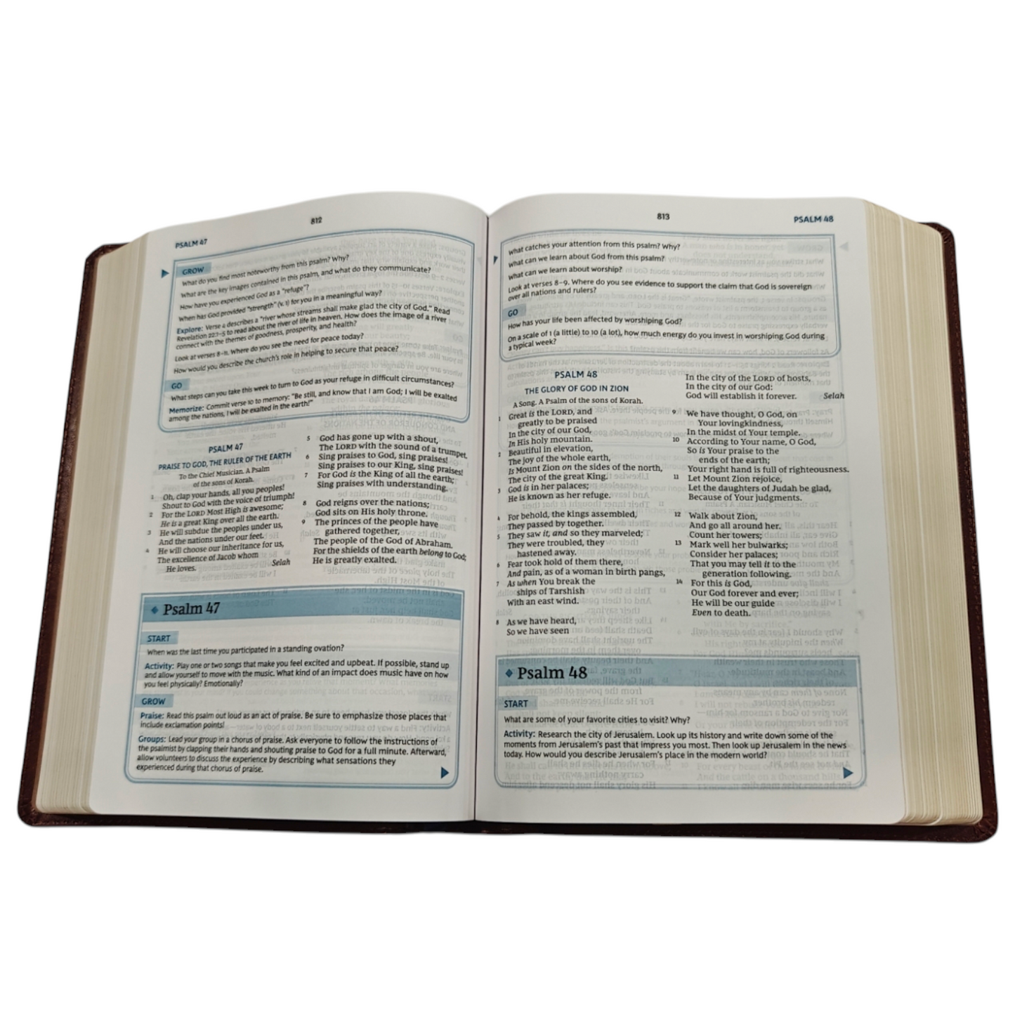 NKJV, The Bible Study Bible, Leathersoft, Brown, Comfort Print: A Study Guide for Every Chapter of the Bible | Study Bible, Reference Bible | Holy