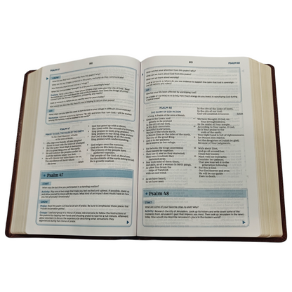 NKJV, The Bible Study Bible, Leathersoft, Brown, Comfort Print: A Study Guide for Every Chapter of the Bible | Study Bible, Reference Bible | Holy