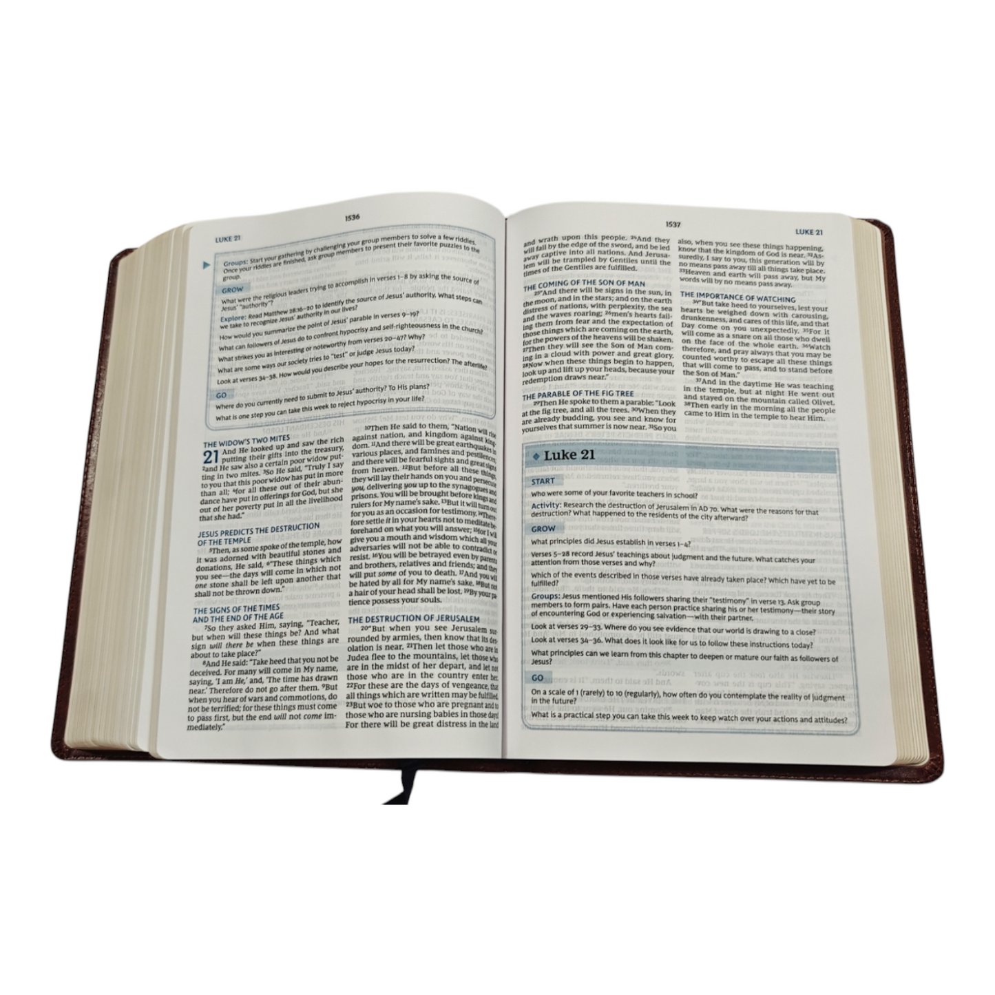 NKJV, The Bible Study Bible, Leathersoft, Brown, Comfort Print: A Study Guide for Every Chapter of the Bible | Study Bible, Reference Bible | Holy