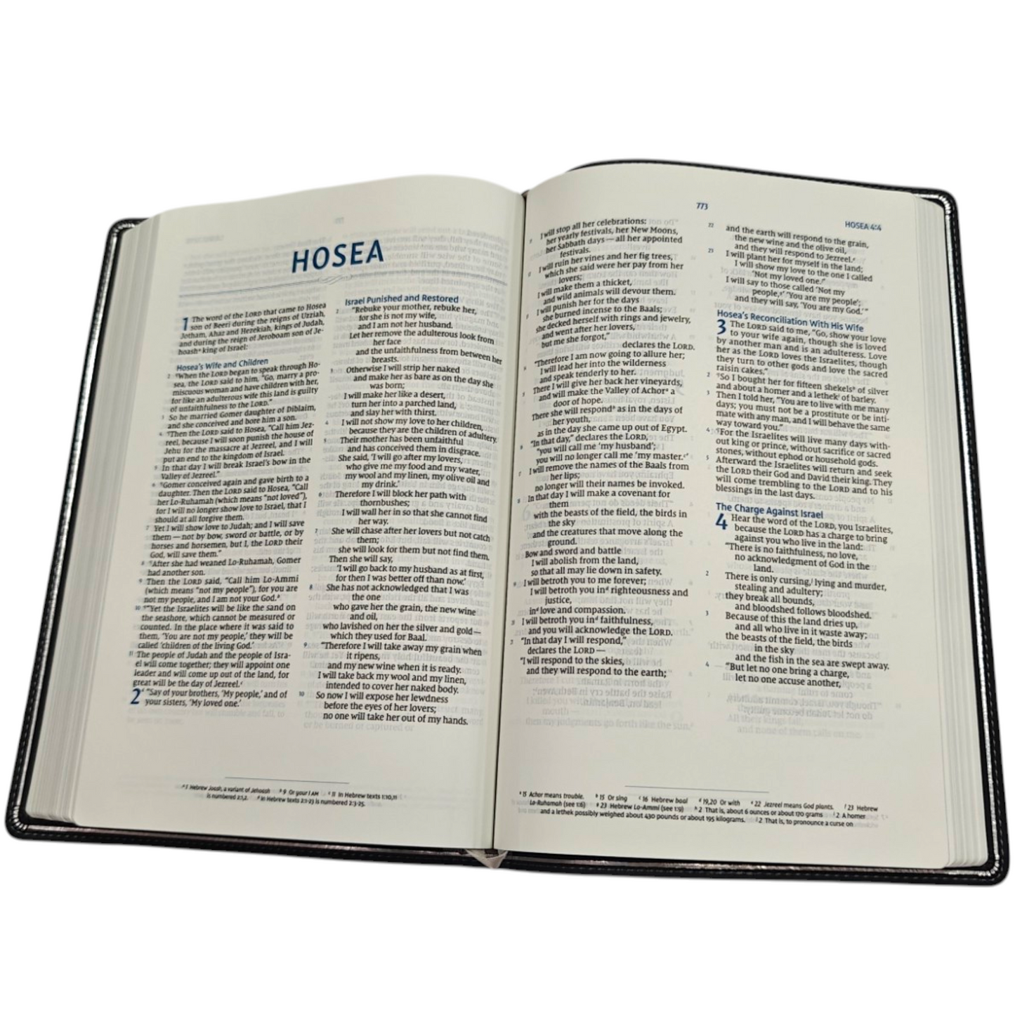 NIV, Preacher's Bible, Verse-By-Verse Format, Leathersoft, Black, Comfort Print | English Bible, Holy Bible