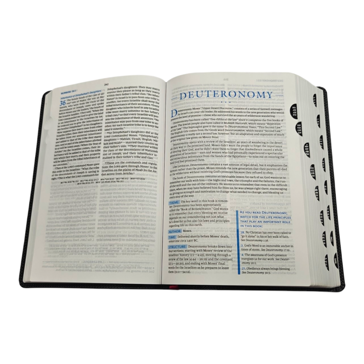 NIV, Charles F. Stanley Life Principles Bible, 2nd Edition | Study Bible, Reference Bible | Holy Bible