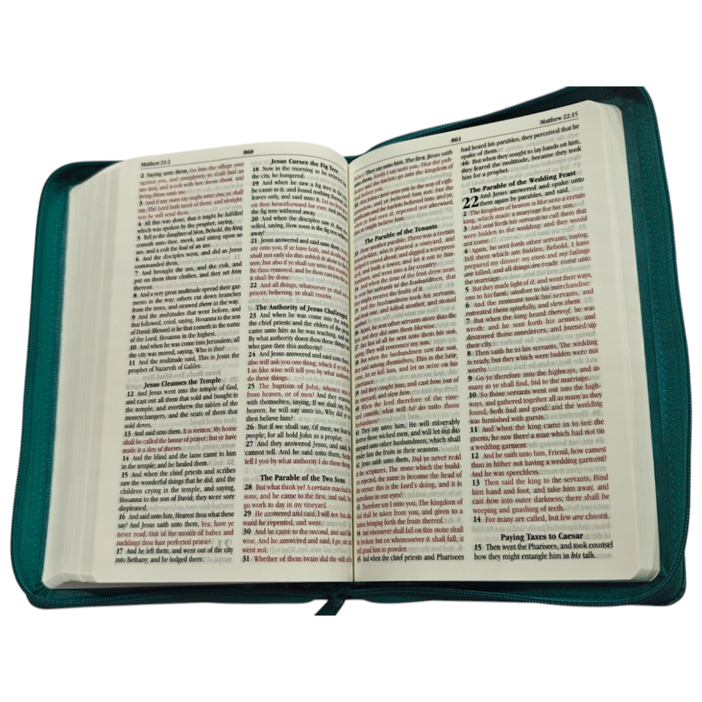 KJV Deluxe Gift Bible | English Bible, Holy Bible