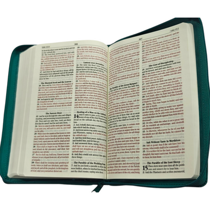 KJV Deluxe Gift Bible | English Bible, Holy Bible