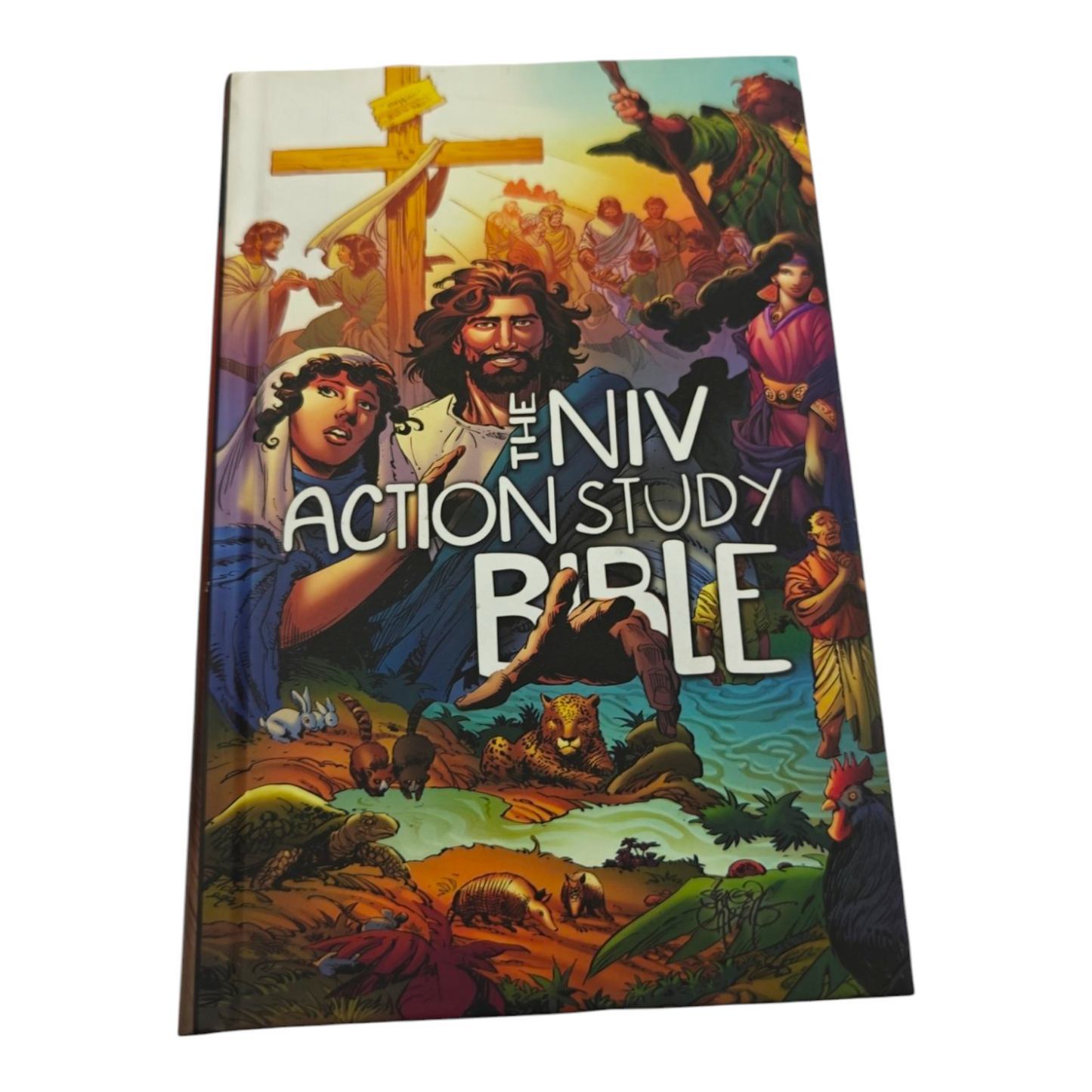 The NIV Action Study Bible | Study Bible, Reference Bible | Holy Bible
