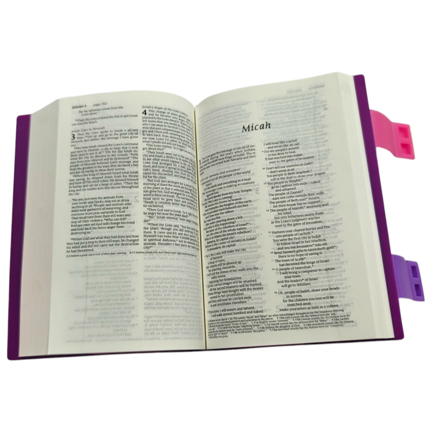 Glipit Bible NLT | English Bible, Holy Bible