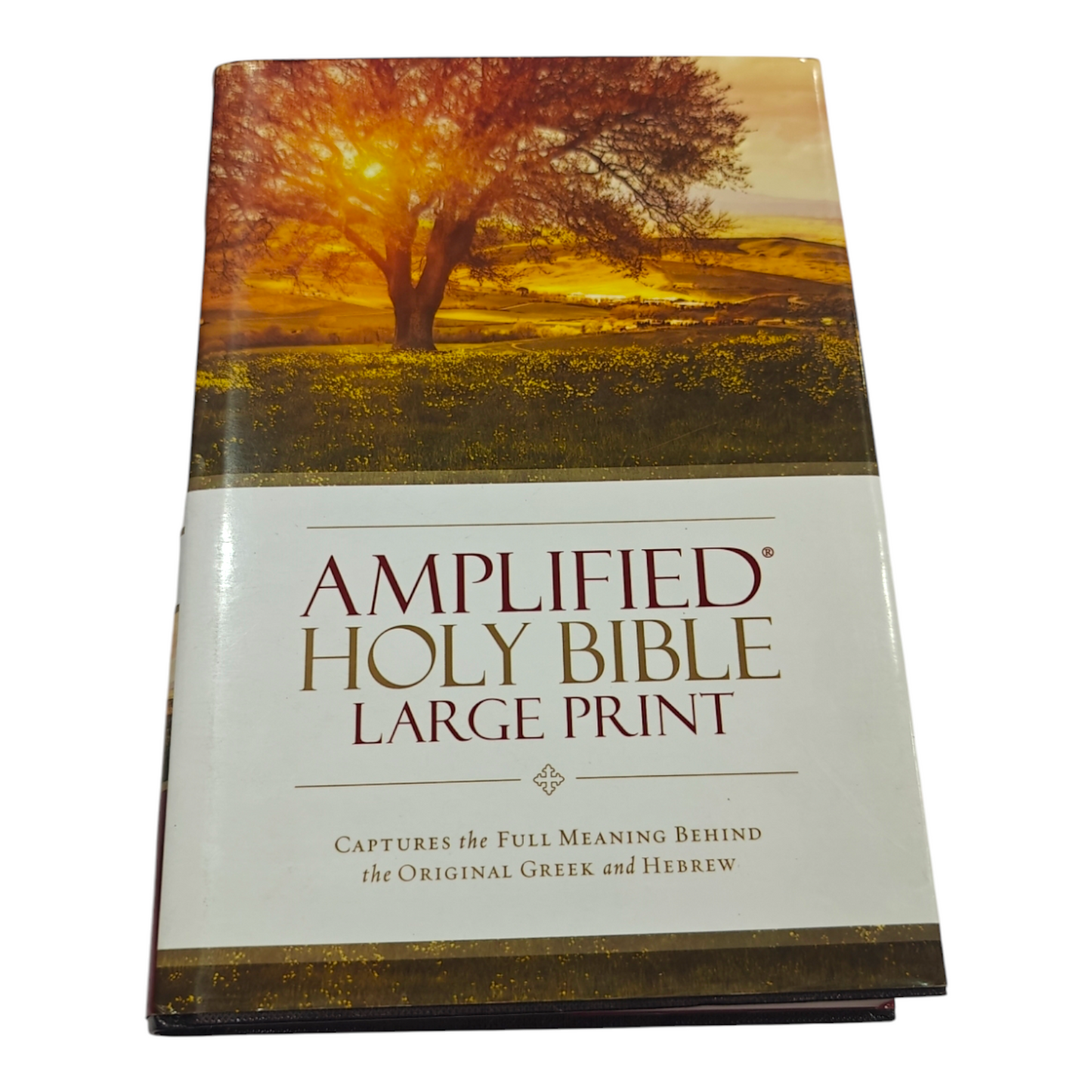 Amplified Bible (AMP) Large Print Brown Bible for Study and Devotion | English Bible, Holy Bible