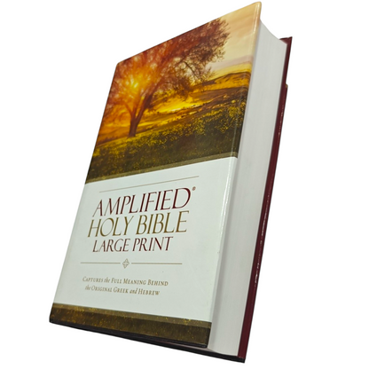 Amplified Bible (AMP) Large Print Brown Bible for Study and Devotion | English Bible, Holy Bible