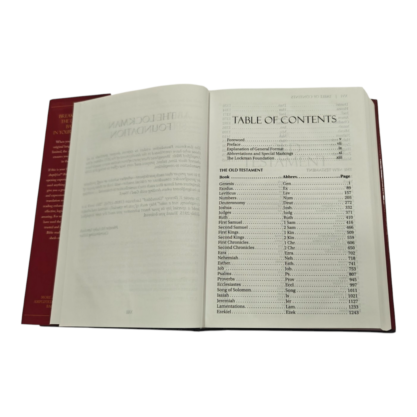 Amplified Bible (AMP) Large Print Brown Bible for Study and Devotion | English Bible, Holy Bible