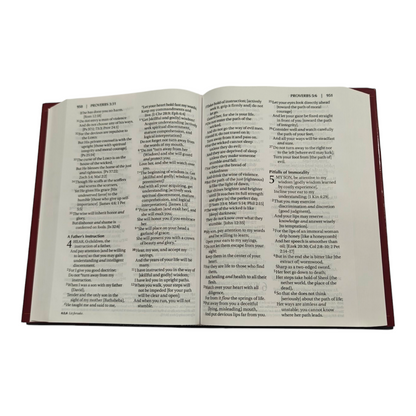 Amplified Bible (AMP) Large Print Brown Bible for Study and Devotion | English Bible, Holy Bible