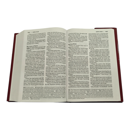 Amplified Bible (AMP) Large Print Brown Bible for Study and Devotion | English Bible, Holy Bible