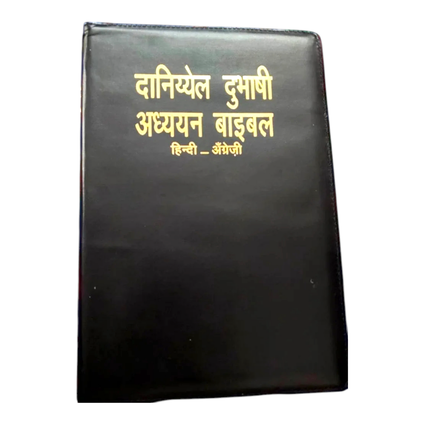 Daniel Bilingual Hindi-English Bible, Parallel Hindi & English Reference Holy Bible (All 66 Books, Side-by-Side Text) | Bilingual Bible, Parallel