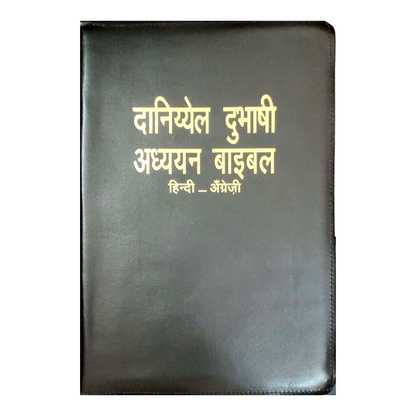 Daniel Bilingual Hindi-English Bible, Parallel Hindi & English Reference Holy Bible (All 66 Books, Side-by-Side Text) | Bilingual Bible, Parallel