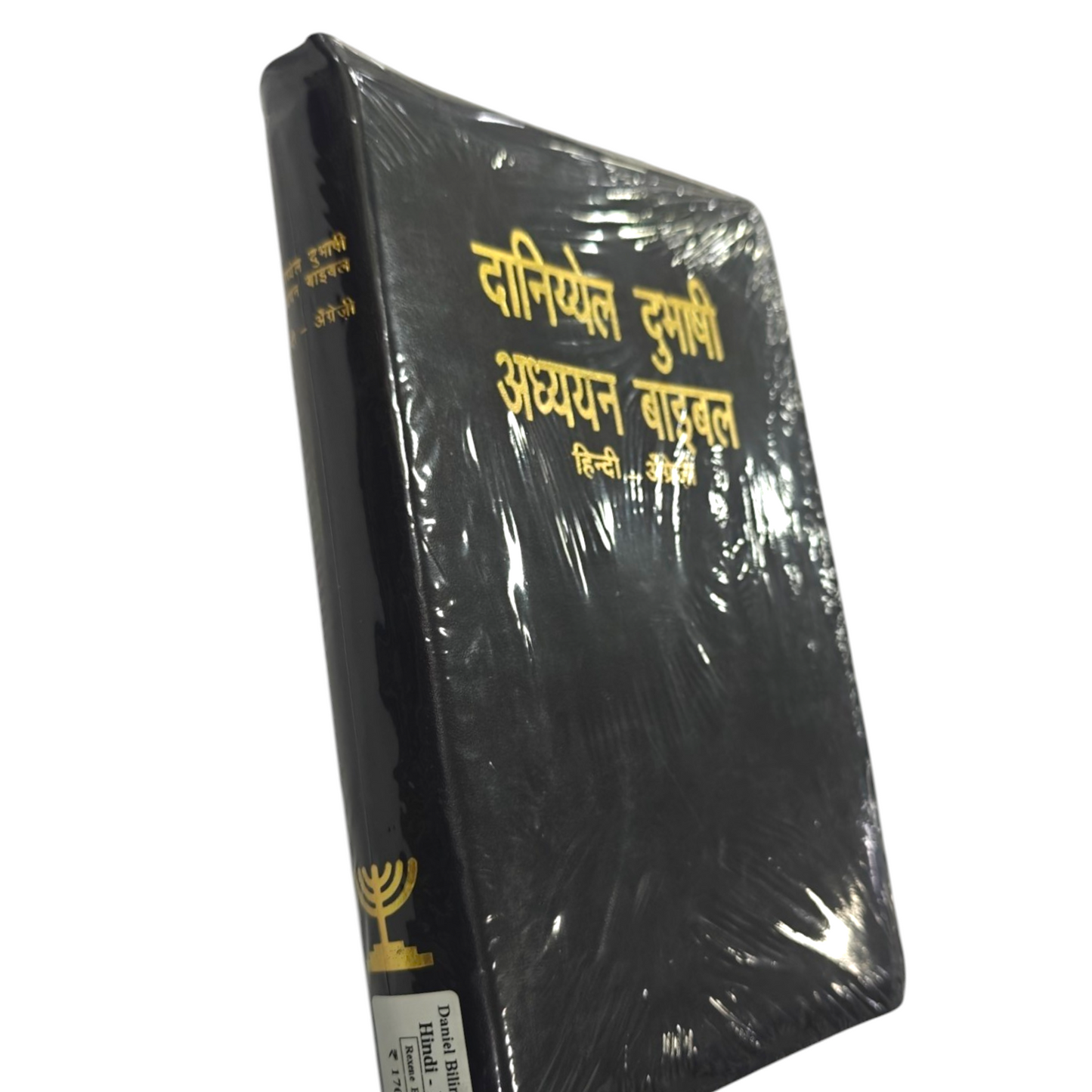 Daniel Bilingual Hindi-English Bible, Parallel Hindi & English Reference Holy Bible (All 66 Books, Side-by-Side Text) | Bilingual Bible, Parallel