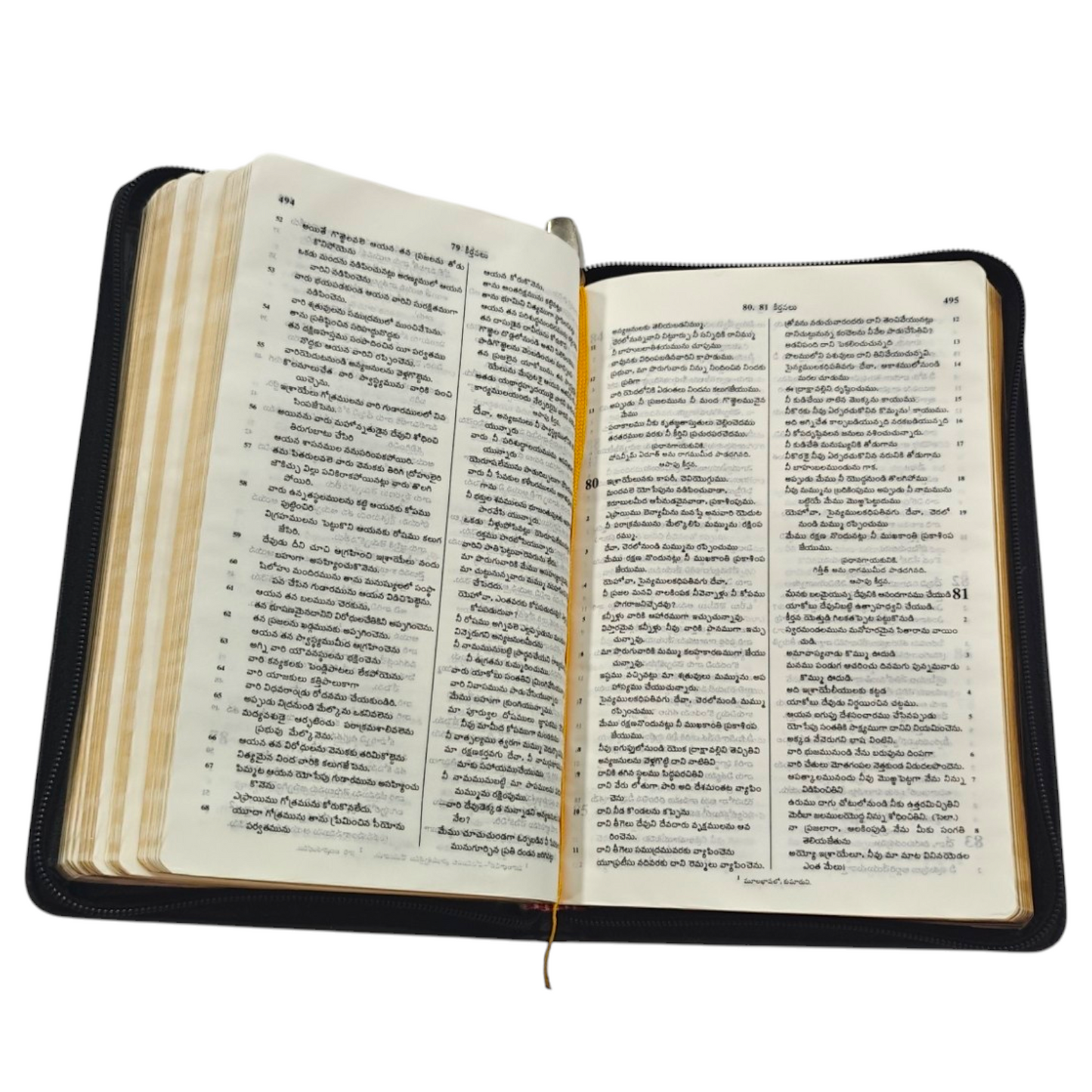Telugu Holy Bible with Golden Zip, Leather-Bound Telugu Bible with Gold Edges, Thumb Index & Zipper (Old & New Testament) | Regional Bible, Holy Bible