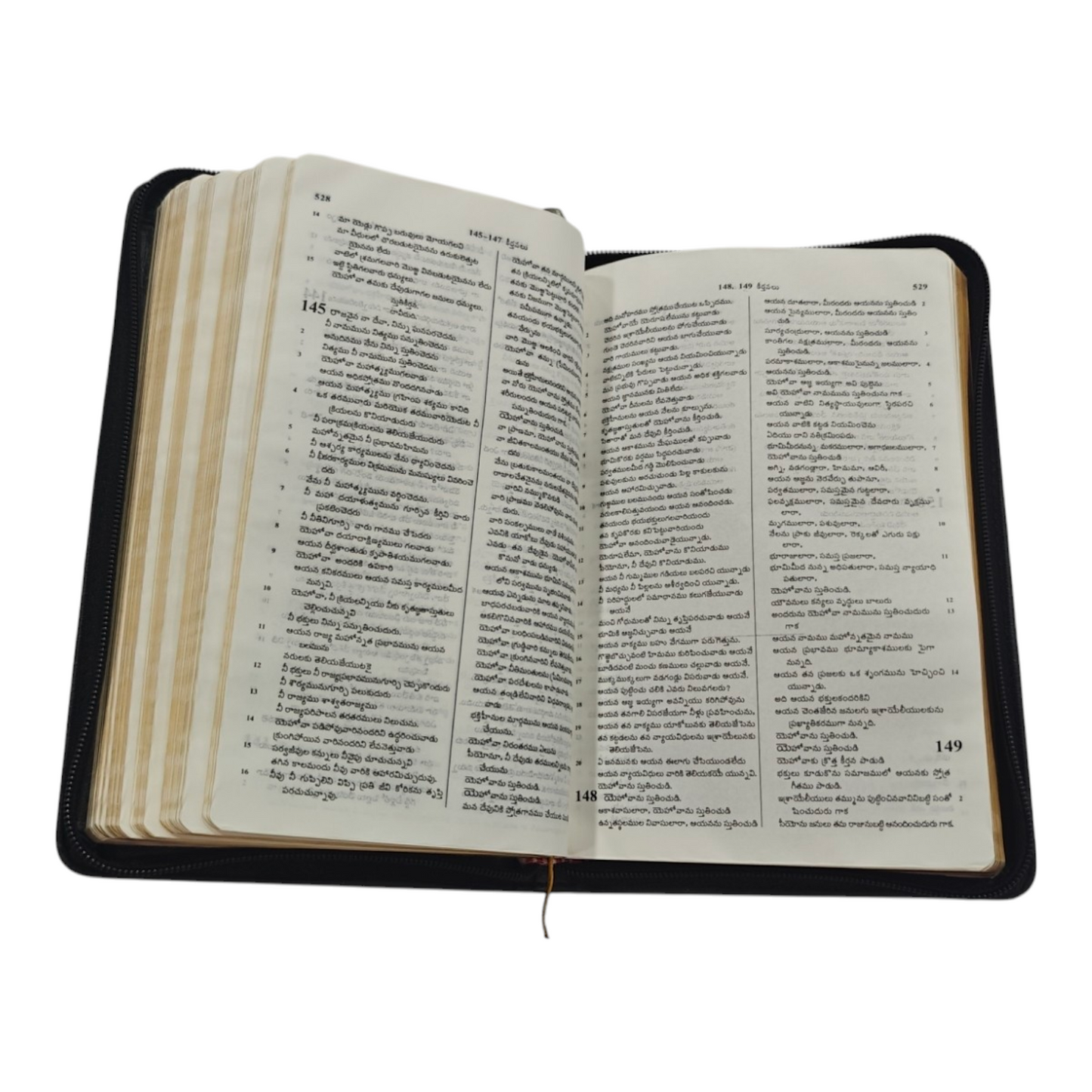 Telugu Holy Bible with Golden Zip, Leather-Bound Telugu Bible with Gold Edges, Thumb Index & Zipper (Old & New Testament) | Regional Bible, Holy Bible