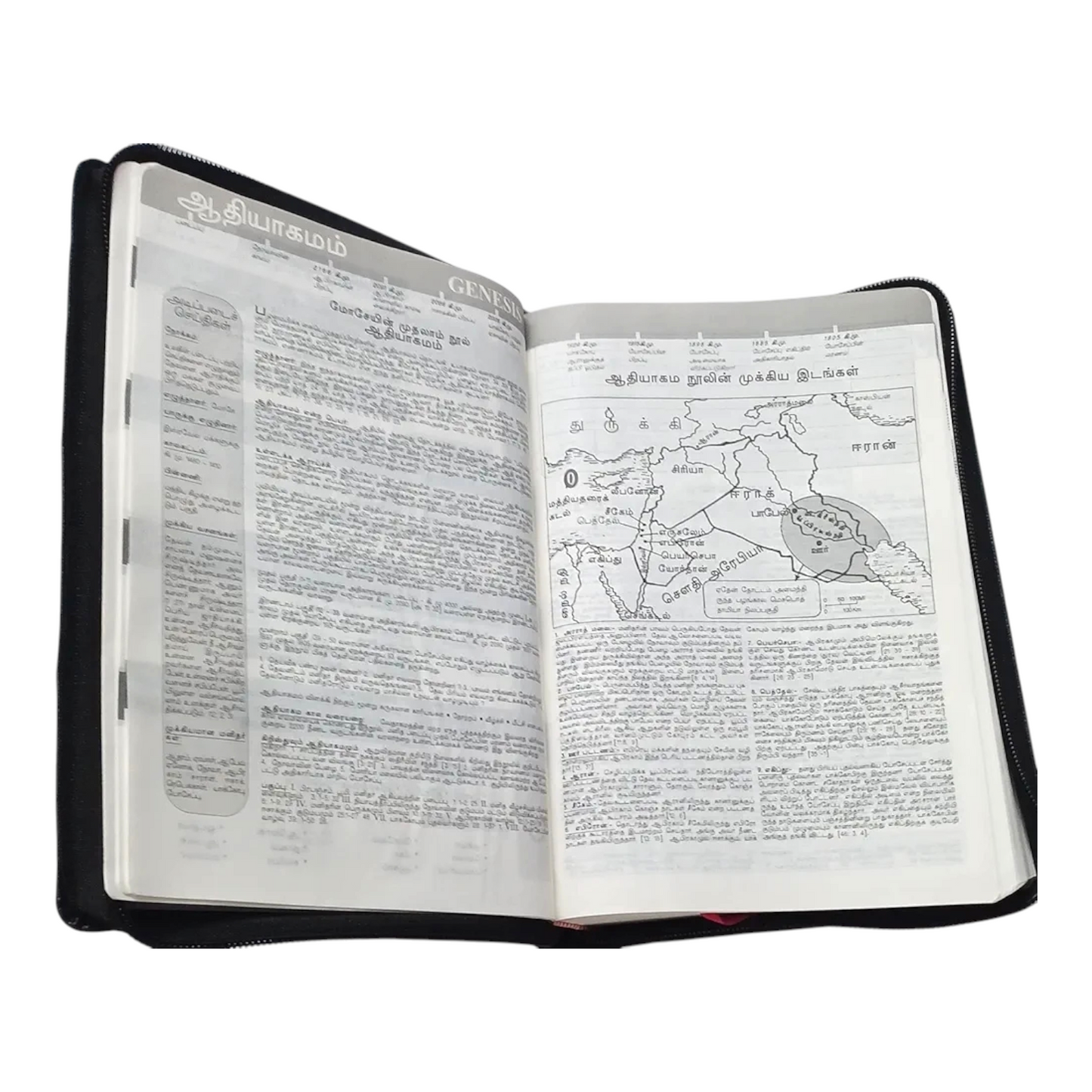 Daniel Tamil Reference Bible, Leather-Bound Tamil Study Bible with Cross-References, Book Prefaces & Golden Edges (Old & New Testament, 1860 Pages)