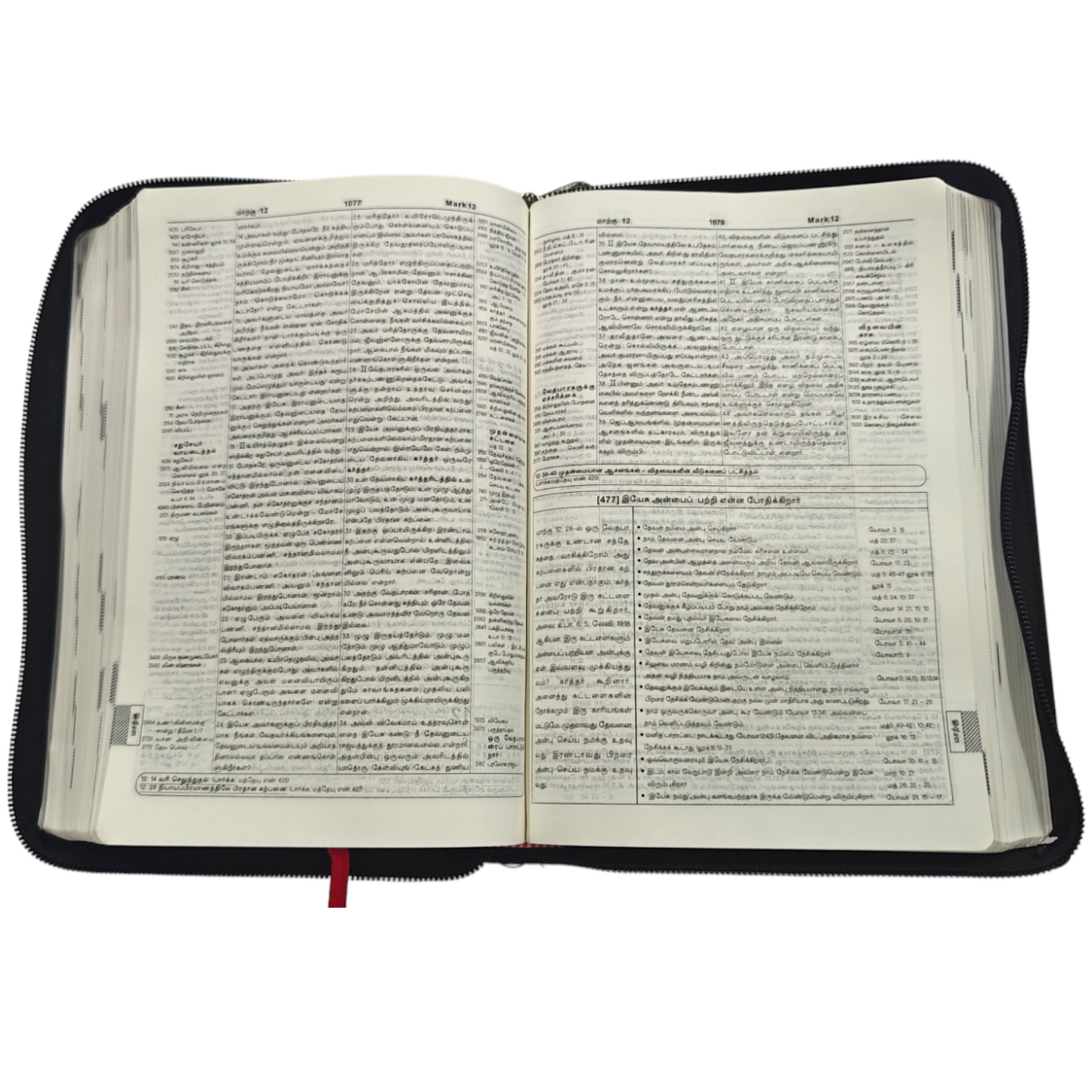 Daniel Tamil Reference Bible, Leather-Bound Tamil Study Bible with Cross-References, Book Prefaces & Golden Edges (Old & New Testament, 1860 Pages)