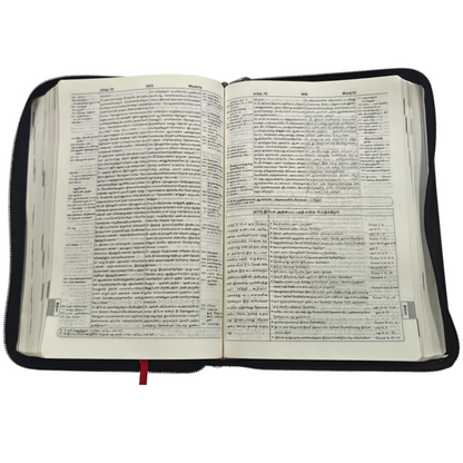Daniel Tamil Reference Bible, Leather-Bound Tamil Study Bible with Cross-References, Book Prefaces & Golden Edges (Old & New Testament, 1860 Pages)
