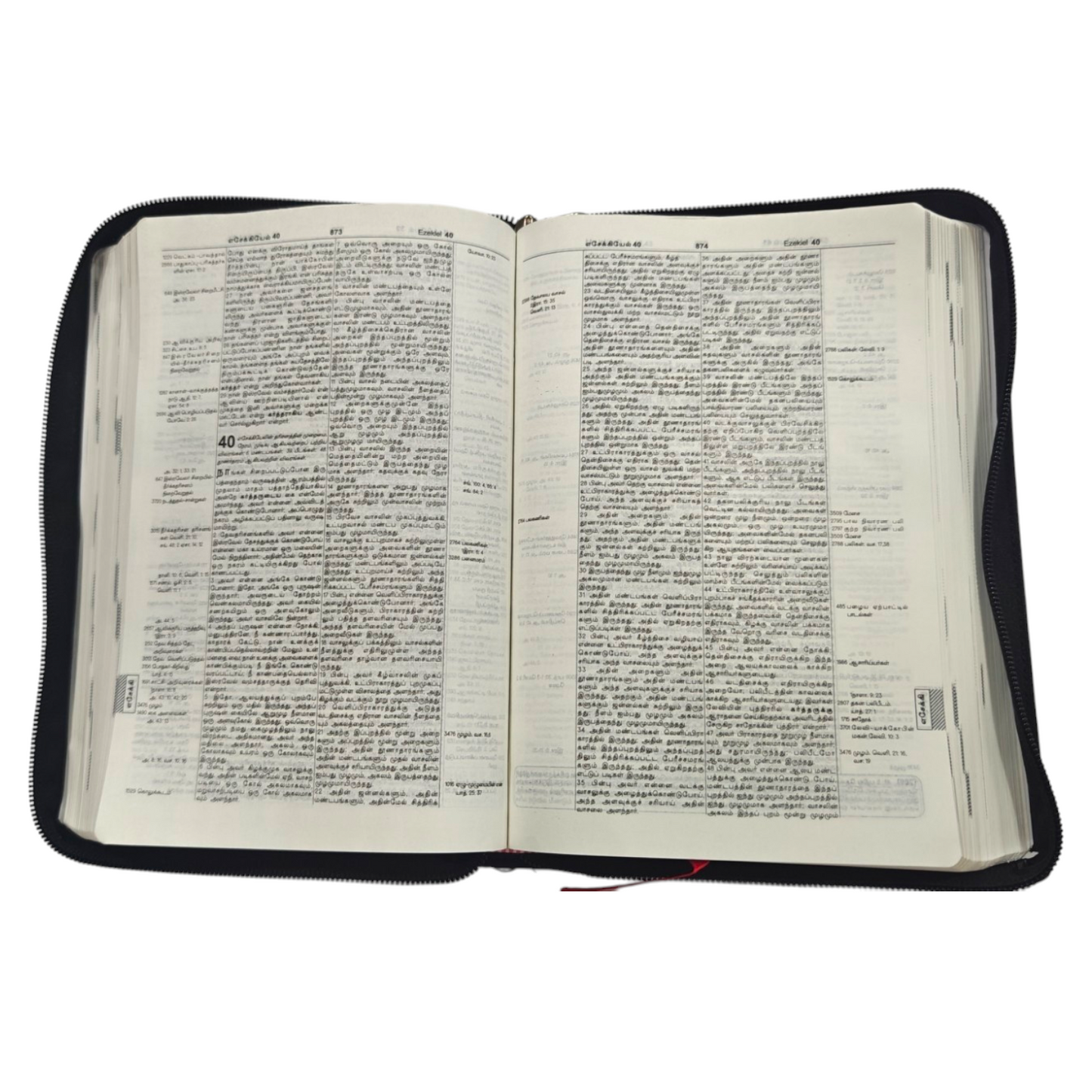 Daniel Tamil Reference Bible, Leather-Bound Tamil Study Bible with Cross-References, Book Prefaces & Golden Edges (Old & New Testament, 1860 Pages)