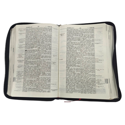 Daniel Tamil Reference Bible, Leather-Bound Tamil Study Bible with Cross-References, Book Prefaces & Golden Edges (Old & New Testament, 1860 Pages)