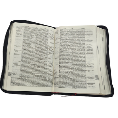 Daniel Tamil Reference Bible, Leather-Bound Tamil Study Bible with Cross-References, Book Prefaces & Golden Edges (Old & New Testament, 1860 Pages)